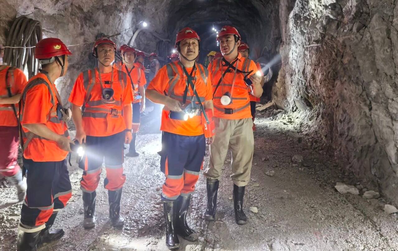 17601516995320693971280_807