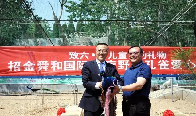 8c56f72a02ca42a2ae30b1c0bc5758b5