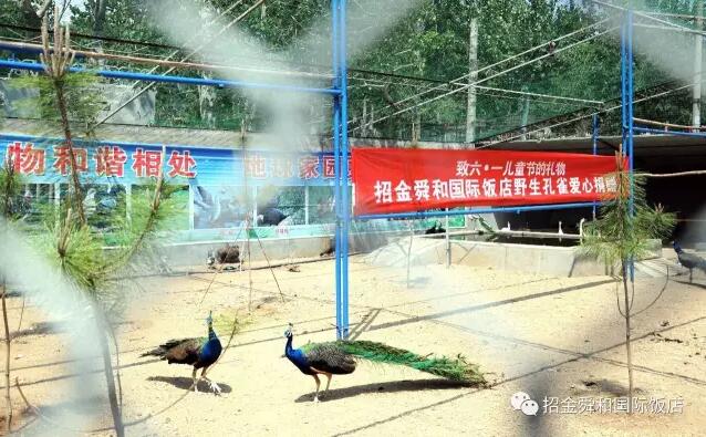 977061c6a74442969a6c06c31abcc4aa