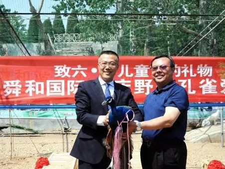 dba25378cfe247dfa216455a307e3810