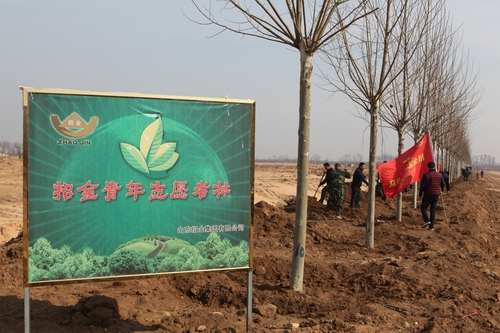 2e6a387416cd44fcb7f672ad42f71939