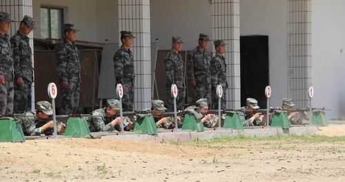 31343add4c8c4a94a19a3efaaa204697