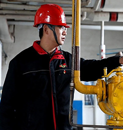 22fd53381b6a4389ade9fe3dd91e53f0