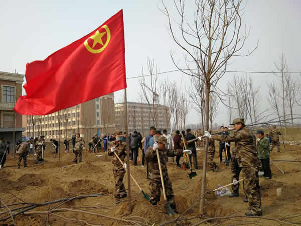 3ad5006dcaac4951944e0ded437770af