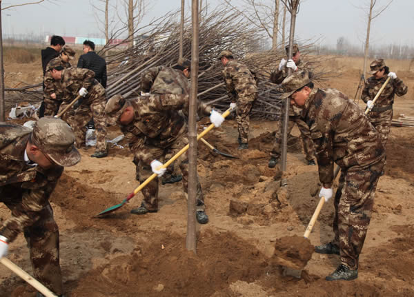 a93122855e4b41a1a86286a98742cb6e