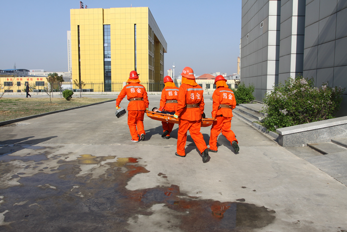 067de66332b24f9a8964e6654eb8c0e2