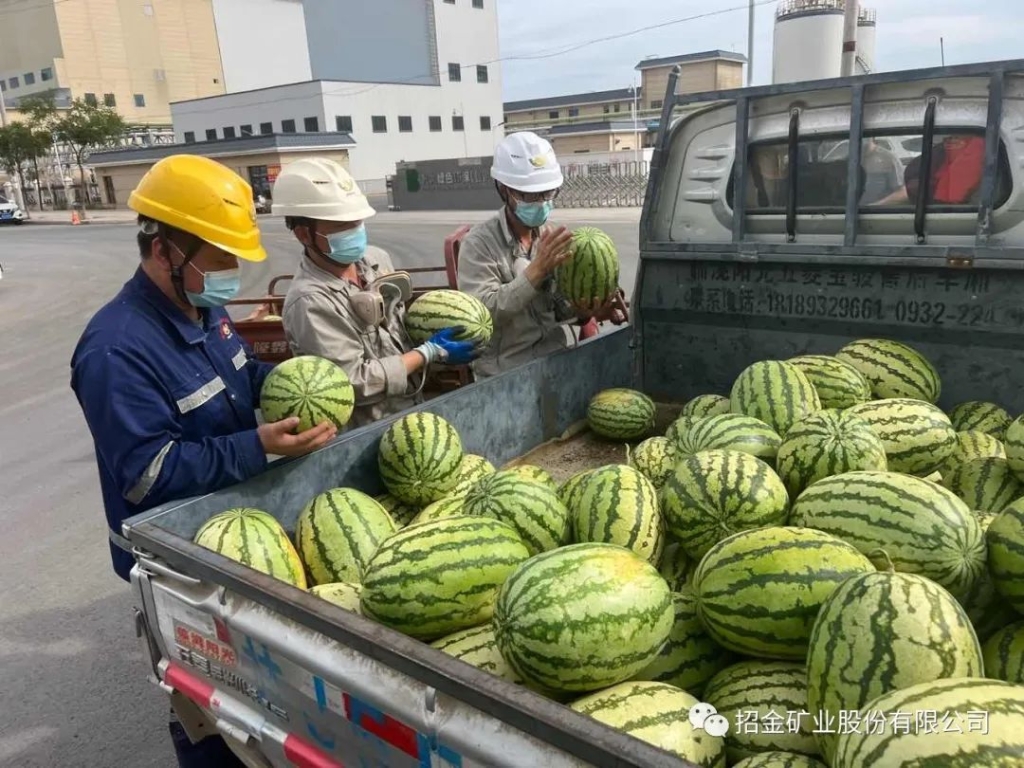 e18ca0adccab4db3b3f8c19ff81bbf3e